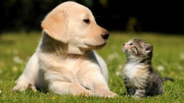 Pronóstico: se viene un martes frío en la región