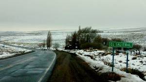 Alerta amarillo por nieve en la Cordillera de Neuquén: los peores horarios
