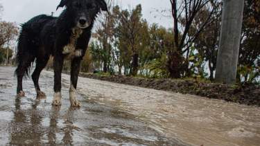 Roca empieza a sufrir la lluvia en sus calles