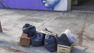 El municipio de Viedma quiere el uso obligatorio de canastos de residuos