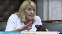 Imagen de Cruces por la sesión de Diputados, Alma Sapag pidió «prudencia»