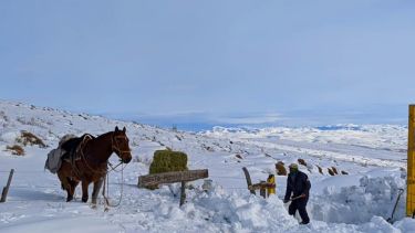 En algunos sectores, la acumulación de nieve supera los 60 centímetros. (Foto: gentileza)