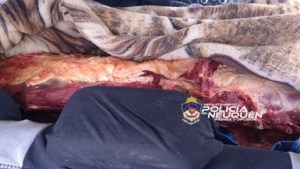 Decomisaron 100 kilos de carne en uno de los ingresos a Neuquén