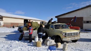 Debido al cordón sanitario, diariamente los campesinos llegan hasta los ingresos a la ciudad  a proveerse de mercadería. (foto: José Mellado)