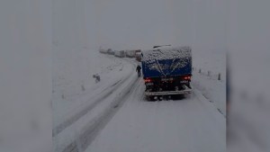 Neuquén: habilitan las rutas 237 y 40  pero se debe circular con extrema precaución
