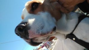 Pronóstico: ¡Brrrr! Se viene un lunes helado en la región