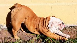 Pronóstico: así llegamos al viernes en la región