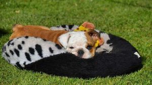 Pronóstico: el miércoles asoma nublado y frío en la región