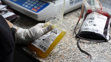 Hay otros cuatro pacients en tratamiento, dos en el hospital y dos en el Policlínico. (Foto: Florencia Salto)