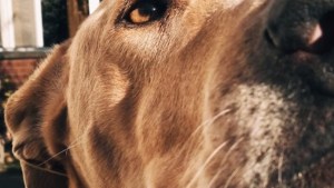 Pronóstico: se mantiene la inestabilidad este miércoles en la región