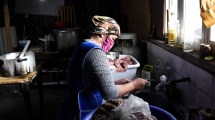 Imagen de Mujeres jóvenes, principales beneficiarias del IFE en Neuquén y Río Negro