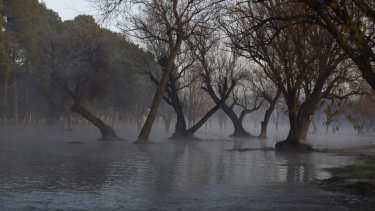 La crecida del río dejó bajo agua varios caminos de la zona cercana a Apycar. (fotos: Juan Thomes)