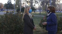 Imagen de Coronavirus: Soria pide que intervenga el ministerio de Salud de Nación en Roca