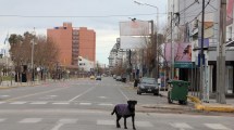 Imagen de Salidas por DNI: la medida logró disminuir la circulación