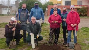 Los vecinos de una junta vecinal de Las Grutas avanzan con un plan de forestación