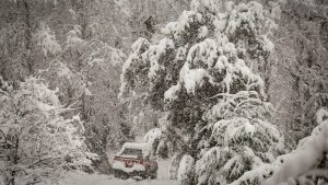 Alerta por nieve para este viernes en la cordillera de Neuquén: de Chos Malal a Aluminé