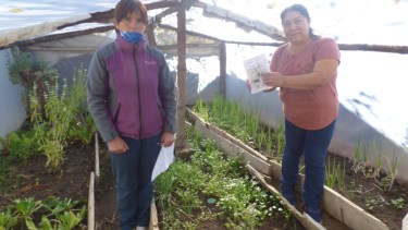 Proda en Casa, promueve el cultivo para el autoconsumo y la comida saludable. Foto gentileza