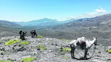 El avance tecnológico y su impacto en la naturaleza son el eje del filme de Luis Sampieri.