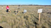 Imagen de La Justicia realiza un relevamiento de las personas que tomaron terrenos en Viedma