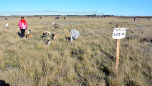 Avanza el tratamiento del acceso a la tierra y el hábitat en Viedma