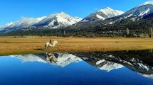 Imagen de Don Ramón, el gaucho de 91 años que sale a trabajar al campo en la Patagonia y le enseña a sus nietos
