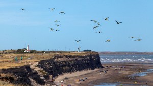 Fin de semana largo: paseos por la arena o el fondo del mar en el Camino de la Costa y Las Grutas