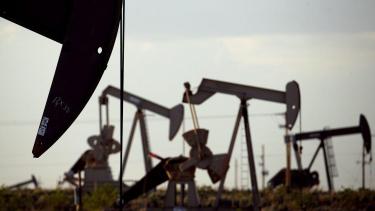 Los líderes del grupo de países exportadores les pideron al resto de los miembros que respeten las cuotas de recortes fijadas. (Foto: gentileza)