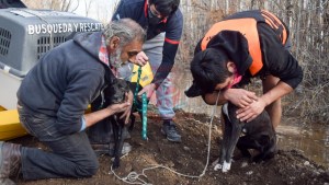 Un rescate a orillas del río Negro que tuvo un final feliz