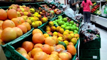 Busca regularse los precios de alimentos.