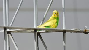 Pronóstico: martes nuboso y frío, para arrancar la semana en la región