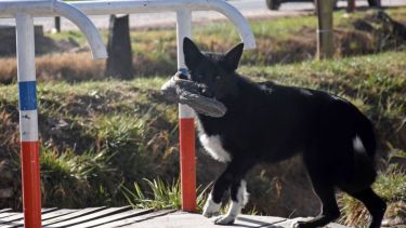 Pronóstico: ¿Vuelven las tormentas a la región este miércoles?