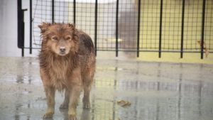 Pronóstico: ¿Se vienen las lluvias este martes en la región?