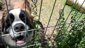 Pronóstico: este lunes se mantienen las buenas máximas en la región