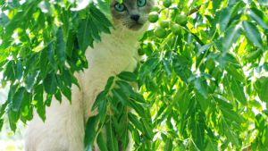 Pronóstico: ¡Brrr! Jueves helado en la región