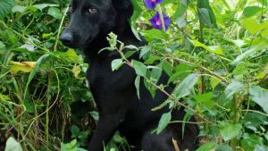 Pronóstico: así llega el jueves a la región