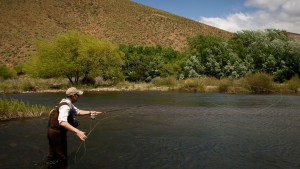Adelantar la temporada de pesca en Neuquén afectaría la reproducción de peces
