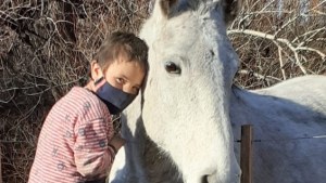 La magia de los caballos cambió la vida de Iván