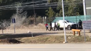 Provincia investigará a la policía por la detención de la mujer que paseaba al perro