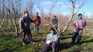 Viedma realiza un taller de poda para inscriptos en la Oficina de Empleo Local