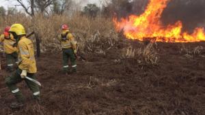 Seis brigadistas de El Bolsón combaten los incendios en Rosario