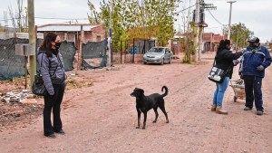 Neuquén puso el foco en los barrios y rastrea casa por casa