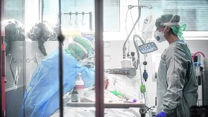 El mundo, cerca de alcanzar 35 millones de contagios de coronavirus