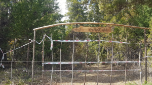 El juez de Bariloche rechazó el desalojo de la toma de El Bolsón