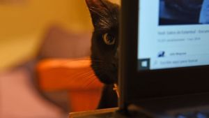 Pronóstico: así estará este miércoles en la región