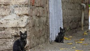 Pronóstico: así estará este martes primaveral en la región