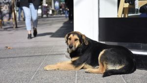 Pronóstico: el lunes inicia nuboso en la región