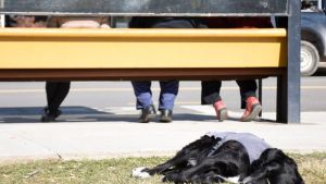 Pronóstico: se viene un martes nuboso en la región