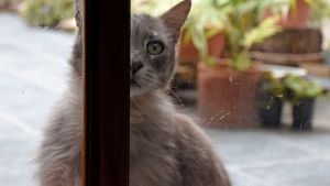 Pronóstico: así empieza la semana en la región