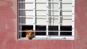 Pronóstico: ¿Estamos listos? Así llega el miércoles a la región