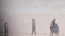 Imagen de El viento desprendió árboles y postes de luz en Centenario, Plottier y Senillosa